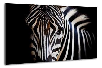 Schilderij -Zebra close up, magisch, 100x70cm, wanddecoratie