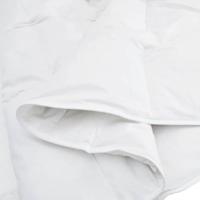 Dekentjes & Dekbedden Wit 240 x 220 cm Dons - thumbnail