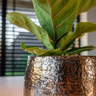 Pot Yvette gold D12 H11