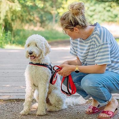 Nobby Preno Mesh Traning Leash, 200 cm/20-25 mm, Rood