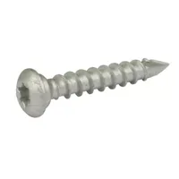 Dynaplus Paalhouderschroef Ar-Silver Ovk Torx TX40 8.0X50 | 50 stuks - 0288.08.61901 - thumbnail
