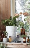 Capi bloempot nature row elegant laag 36x47 cm antraciet krwz782 - thumbnail