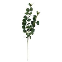 Kunsttak eucalyptus donkergroen 75 cm | 24 stuks - thumbnail