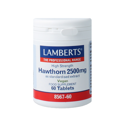 Lamberts Crataegus 2500mg Tabletten