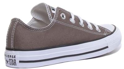 Converse Chuck Taylor All Star Bruin - Maat: 38