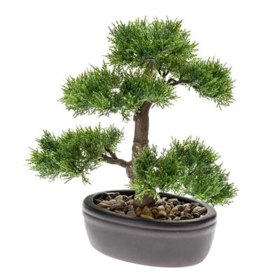 Zijdeplant Bonsai Cedar kunstplant Driesprong Collection - Driesprong collection Zijdeplant Bonsai Cedar kunstplant Driesprong Collection - Driesprong collection