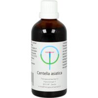 Centella asiatica - thumbnail