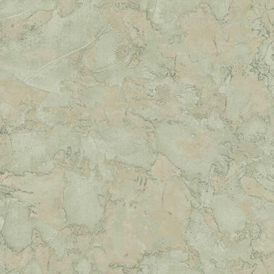 Cristiana Masi Textum Behang met grove stuc structuur - 24415