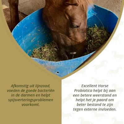 Excellent Horse Probiotics 600 g
