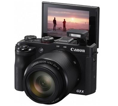 Ring van Ruwe Amethist op Voet (14,45 kg) Ring van Ruwe Amethist op Voet (14,45 kg)