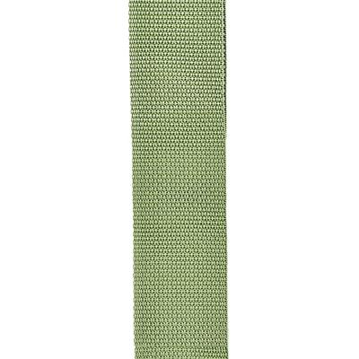 D'Addario PWS107 polypropyleen gitaarband groen