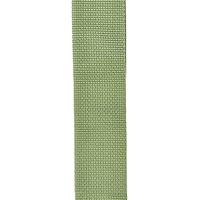 D&apos;Addario PWS107 polypropyleen gitaarband groen - thumbnail