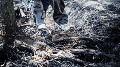 Bosch Accessoires Expert 'Tough Wood' S 1142 KHM reciprozaagblad 10-delig - 1 stuk(s) - 2608900405