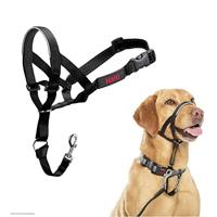 The Company Of Animals Company of animals halti headcollar zwart - thumbnail