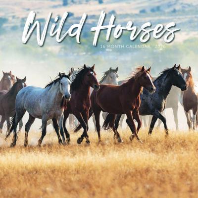Wilde Paarden Kalender 2026