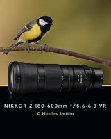 Nikon NIKKOR Z 180-600mm F/5.6-6.3 VR - thumbnail