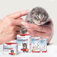 Beaphar Lactol kittenmelk 500 g - thumbnail