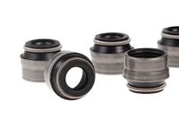 Japanse Azalea - thumbnail