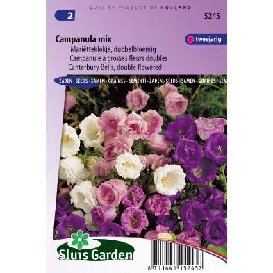 Marietteklokje dubbelbloemig bloemzaden - Campanula Mix