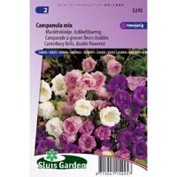 Marietteklokje dubbelbloemig bloemzaden - Campanula Mix - thumbnail