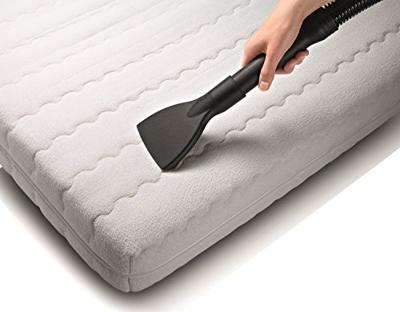 Bosch Haushalt BCH6ZOOO Zooo 25.2V ProAnimal BCH6ZOOO Accu-handstofzuiger 25.2 V Zuigborstel met motor