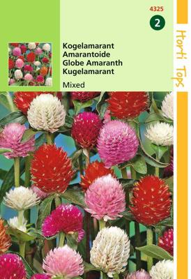 Zaden Gomphrena Kogelamarant gemengd Hortitops - Hortitops