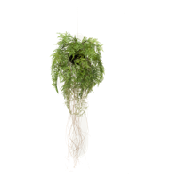 Kunst Hangplant Varen met Luchtwortels 70cm - thumbnail