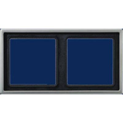 Jung ES2982 Afdekking Frame 2-voudig RVS 1 stuk(s)