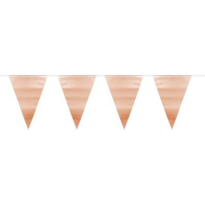 Vlaggenlijn Roségoud Metallic Mat (6m)py