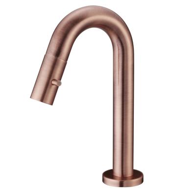 Salenzi Fonteinkraan Opbouw Giro Gebogen Gegalvaniseerd Geborsteld Koper Salenzi Fonteinkraan Opbouw Giro Gebogen Gegalvaniseerd Geborsteld Koper