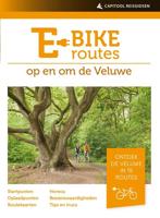E-bikeroutes op en om de Veluwe - Ad Snelderwaard - ebook - thumbnail