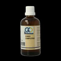 GO Ulmus campestris bio 100 Milliliter - thumbnail