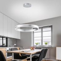 Paul Neuhaus Smart hanglampQ-Vito Ø 59cm grijs - 8411-55 - thumbnail