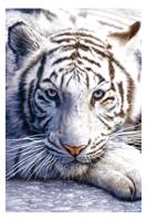 Poster White Tiger 61x91,5cm - thumbnail