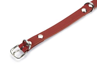Lederen honden halsband rood - 52 cm x 20 mm