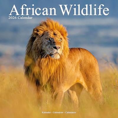 African Wildlife Calendar 2026 Square Wildlife Safari Wall Calendar - 16 Month