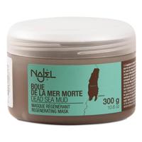 Najel Aleppo Aleppo masker dode zee klei 300 Gram - thumbnail