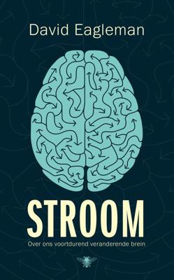 Stroom - David Eagleman - ebook