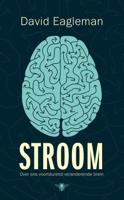 Stroom - David Eagleman - ebook - thumbnail