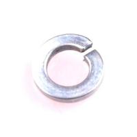 Gloria Veerring - thumbnail