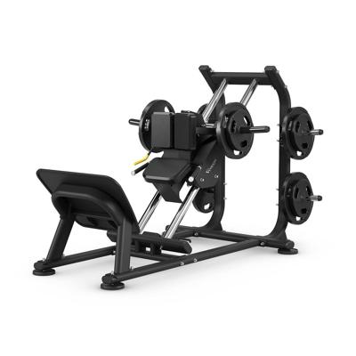 Vision Fitness hack squat Vision Fitness hack squat