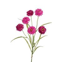 Roberts Collection Kunsttak korenbloemen mix roze - thumbnail