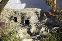 Filtocap zand Oase - Oase - thumbnail