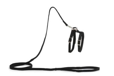 Beeztees - kattentuigje - nylon - zwart - 130 cm x 10 mm Beeztees - kattentuigje - nylon - zwart - 130 cm x 10 mm