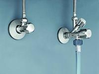 Blue Bells - thumbnail