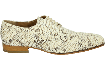 Paulo Bellini 1708 - alle