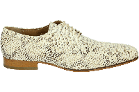 Paulo Bellini 1708 - alle - thumbnail