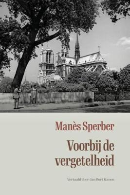 Voorbij de vergetelheid - Manès Sperber - ebook