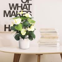 Anthurium deluxe kunstplant 50cm - creme - thumbnail