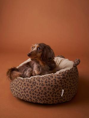 Gequilte mand voor huisdier FAMILY bruin, bedrukt Gequilte mand voor huisdier FAMILY bruin, bedrukt